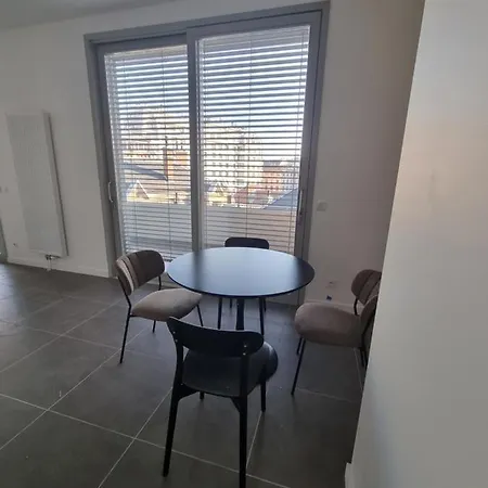 Grenoble Centre Terrasse Sud Climatisation Appartement